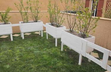 Purple Baroque Rer C -N104-A6 - Foto 18