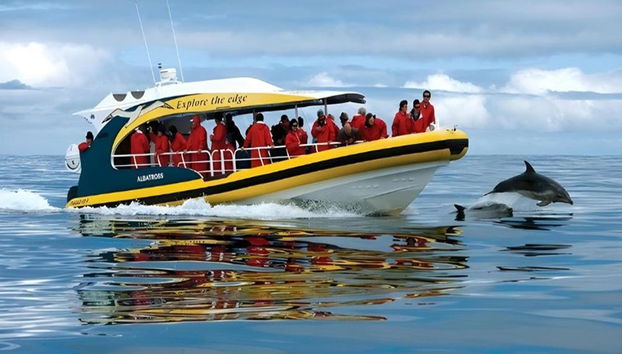 Cruzeiros pela Ilha Bruny - Cruzeiro de 3 horas pela Natureza Selvagem - Foto 2