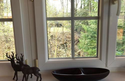 Apartment am Wildbach - Radeln, Wandern, Natur, Urlaub mit Hund - Foto 15