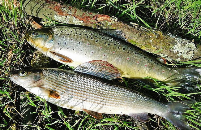 Holiday House by the Lake With a Fireplace - Photo 51