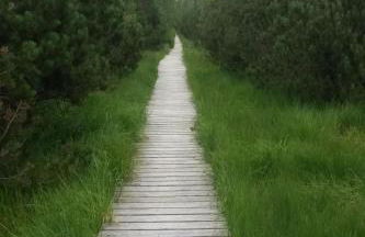 Apartment Bär by Interhome - Foto 35