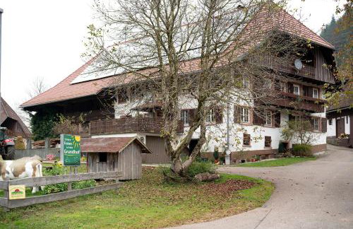 Grundhof - Foto 2