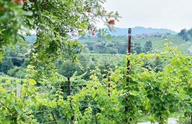 Valdobbiadene - free parking - Colline Prosecco - Foto 12