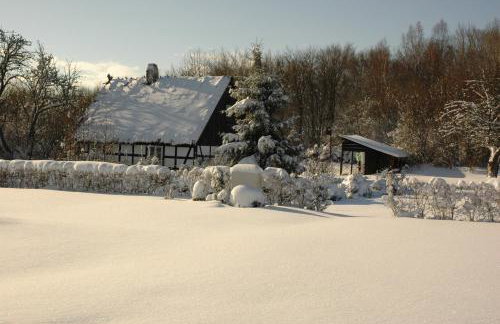Chata na Zielonym Wzgórzu - Foto 80