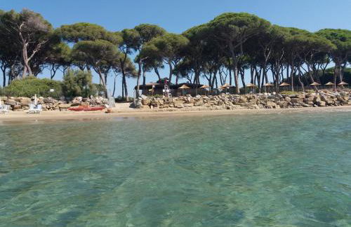 Appartamento in Villa - Foto 40