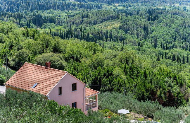 Villa Oliva - Foto 15