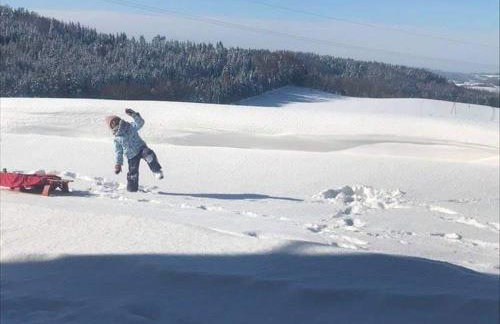 Bieszczadzki Horyzont Apartamenty - Photo 66