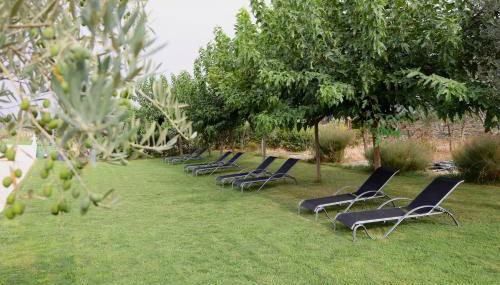 Sierra De Monfrague - Foto 3, Garden, sunbed, Garden view