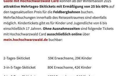 Steiert Panorama Apartments Todtnau - Foto 2