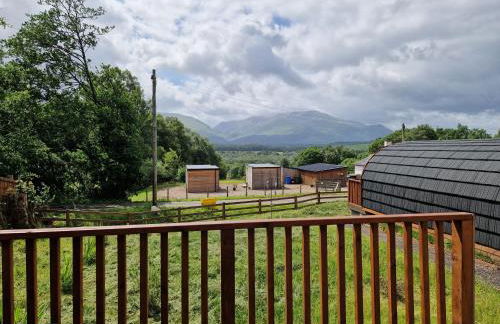 Pinemarten Lodge - Foto 13