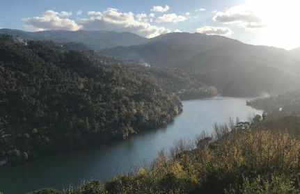 Pedacinho de Mundo Douro - Foto 42