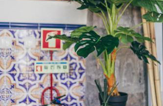 Casa do Riacho - Photo 34