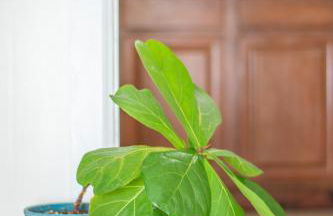 Cozy 1 Bedroom Apt - Minutes to NYC - Great for Remote Work - Foto 53