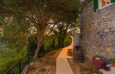 Dalmatian Green Peak - Foto 35