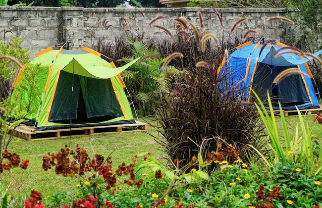 Hutland Hotels - Foto 38