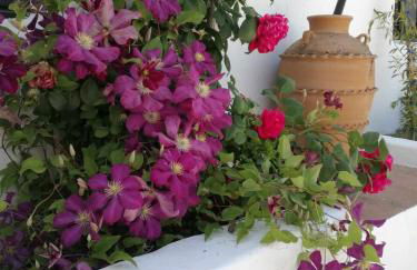 Casa Miguel Montefrio - Foto 61