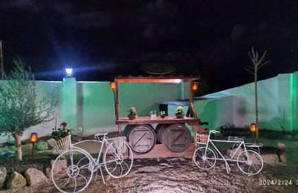 CASA CUEVA EL OLIVO - Foto 14