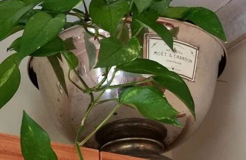 Gästehaus am Kattensteert - Foto 31