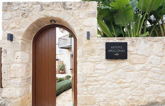 Artemis Apollonas Villa - Foto 29