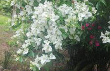 Refúgio nas Montanhas - Foto 54