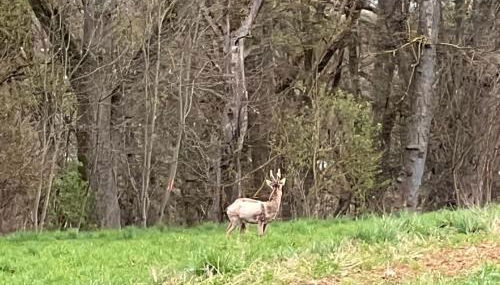 Zeitlberg Panoramawohnung mit PRIVAT SPA - Foto 3