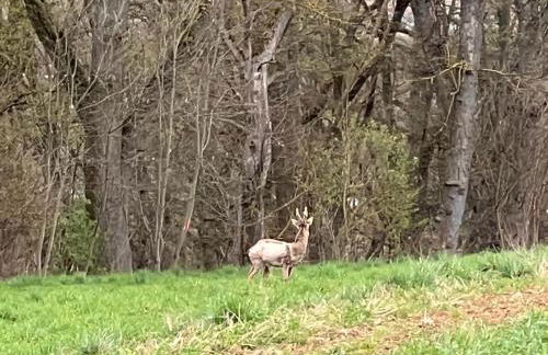 Zeitlberg Panoramawohnung mit PRIVAT SPA - Foto 3