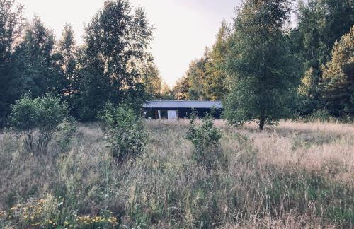 Przystanek Naglady Warmia- całoroczny, duża leśna działka - Foto 36