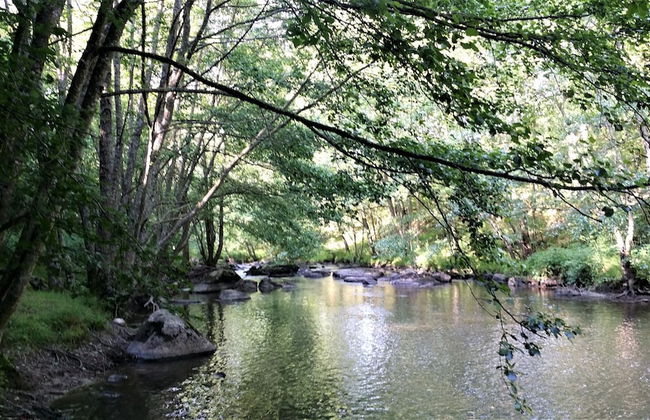 Gîtes LES Fougeres DU LAC - Foto 68