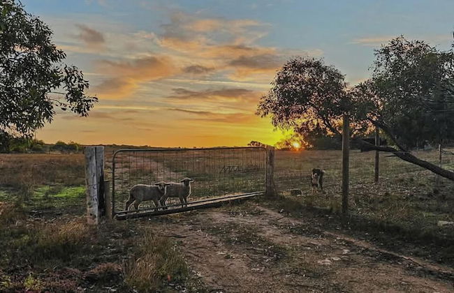 Coodlie Park Eco Retreat - Foto 23