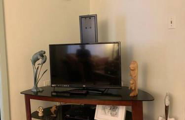 Professor Rousseau's Manatee Bay - Foto 4