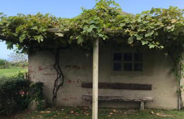 Apartamentos El Campo - Foto 70