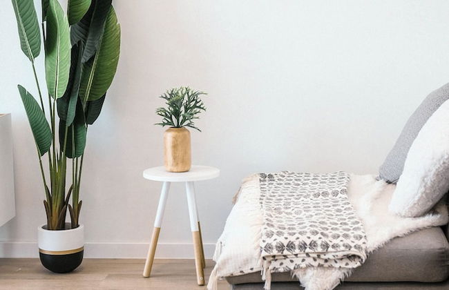 La Grange des Pères - Photo 44