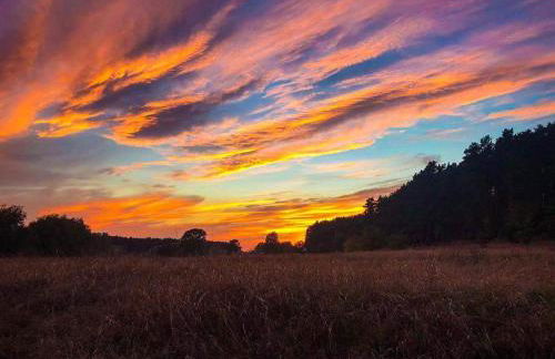 Ferienhaus Seensucht - Foto 19