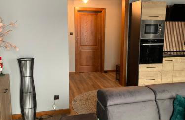 Bulwar Apartament Stare Miasto - Foto 8