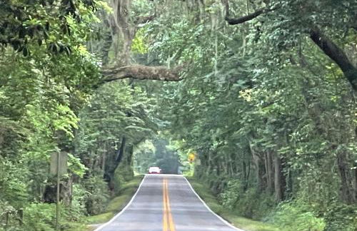 Nature Lover's Oasis - Foto 21