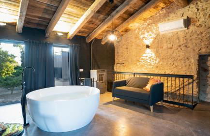 Mas Xalmes - Foto 11