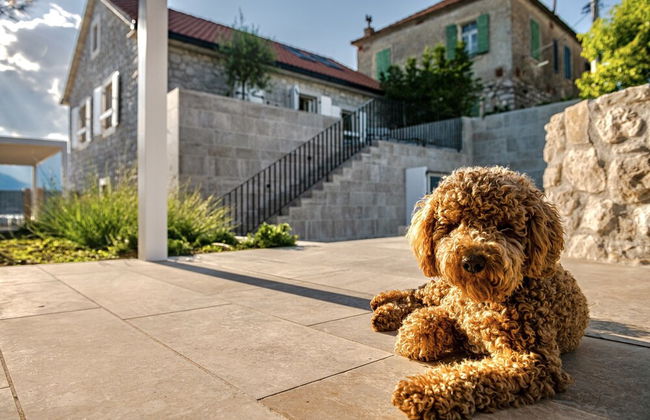 Villa Lastva is a Five Star Seafront Luxury Villa With Privite Pool - Foto 72