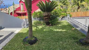 Casa da Palmeira - Foto 5, Garden view