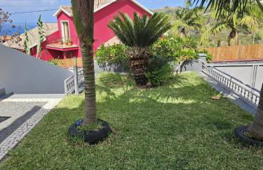 Casa da Palmeira - Photo 5