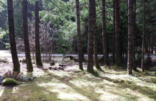 Chalet-style cabin near Mt. Rainier and Crystal - Foto 19