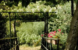 Entre Os Ríos - Casa Rural y Enoturismo - Foto 48