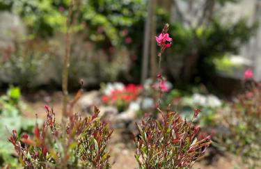 Villia home - Foto 22