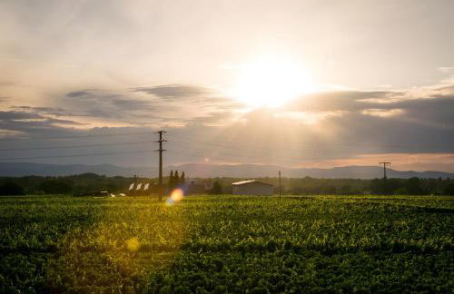Ferienwohnen im Ziegelfeld - Foto 13