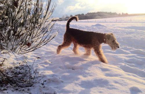 Ferienhaus Lemon Tree - Foto 85
