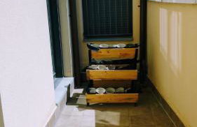 El Rincón del Ángel - Foto 14