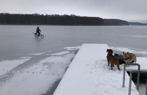 Pauza Drzewoszewo - Dom nad jeziorem - Foto 48