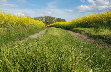 in die Ferien mit 16 Freunden - Foto 73