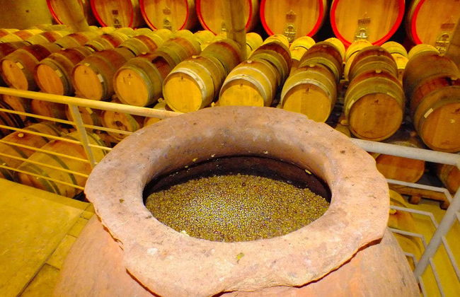 Isla de Maipo Wine Tour - Photo 6