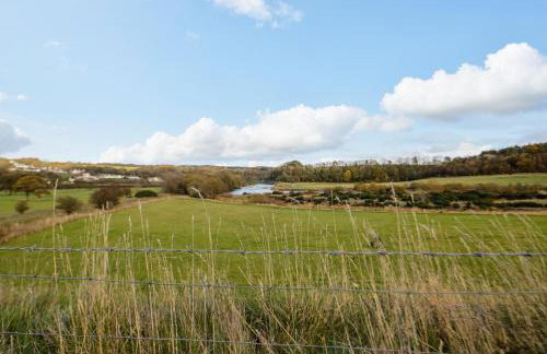 Camerton Hall Cottage - Foto 21