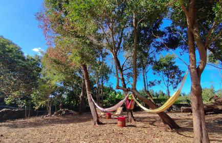 Quinta dos Sentidos Eco Nature Retreat in Azores - Photo 24